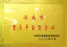 济南市重点平台型企业