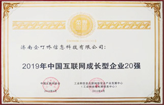 中国互联网成长企业20强